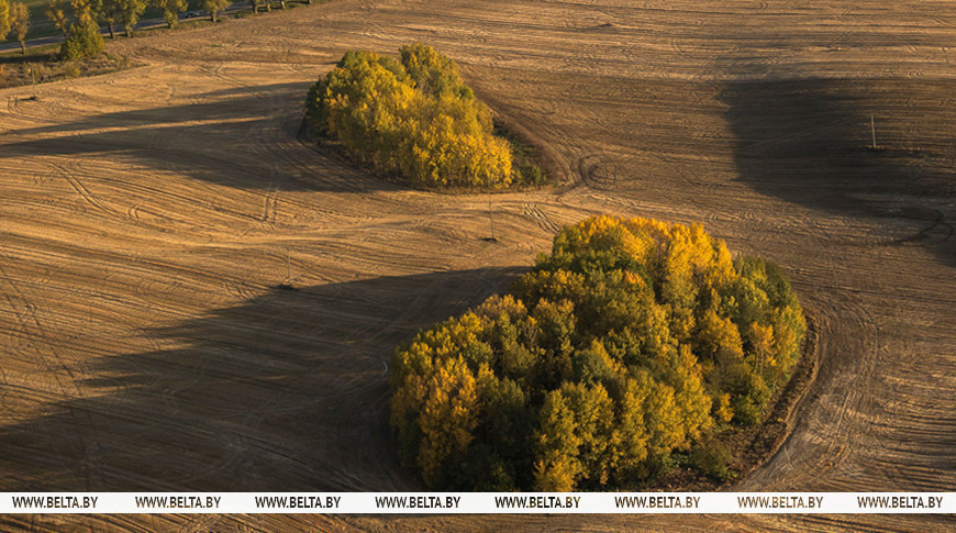 Lukashenko calls for using unused plots of households and farms for agricultural purposes