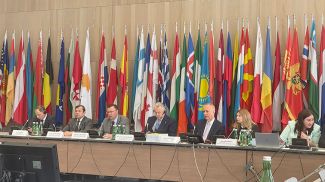 Photo courtesy of the Permanent Mission of Belarus to the OSCE in Vienna