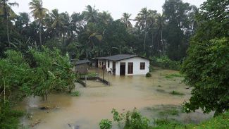 Photo courtesy of Reuters