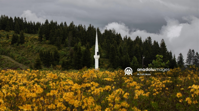 Photo by Anadolu Agency