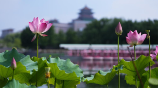 Xinhua photo