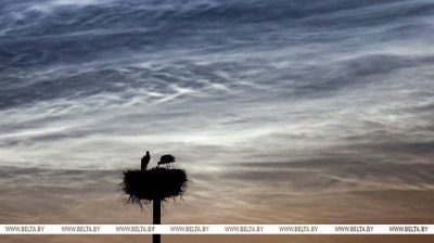 3 July 2025. Noctilucent clouds