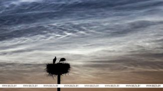 3 July 2025. Noctilucent clouds