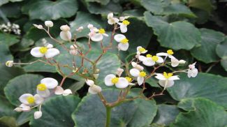 Photo: iStock