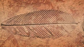 Photo: iStock