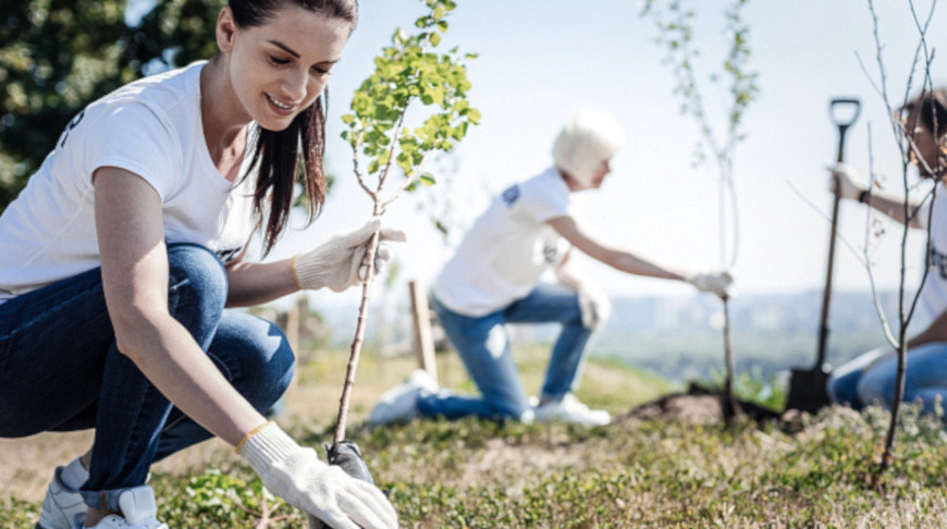 Photo: iStock Photo: iStock