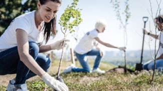 Photo: iStock