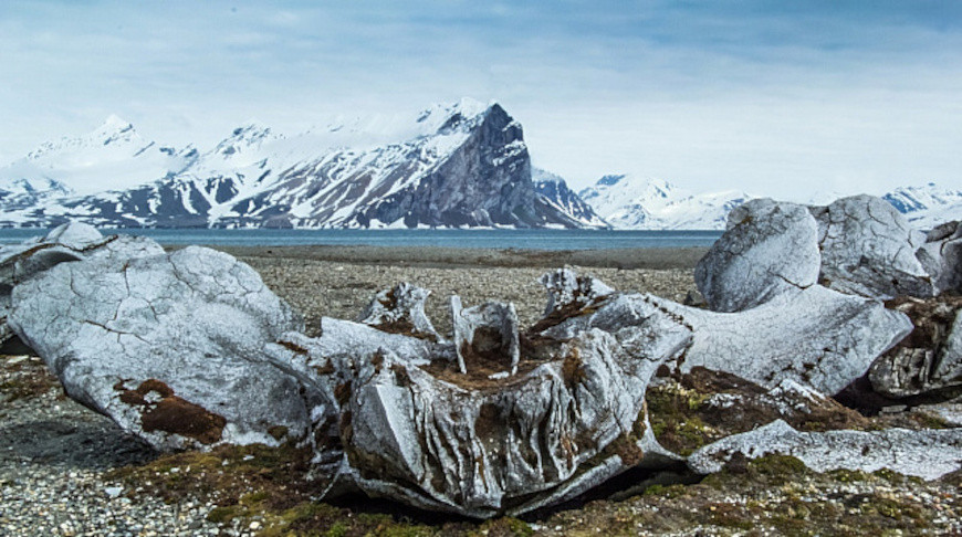 Photo: iStock