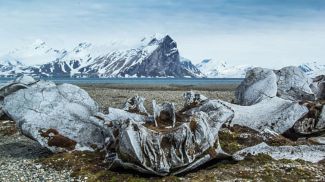 Photo: iStock