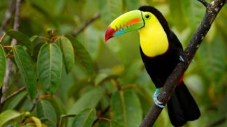 Photo: Ondrej Prosicky / iStock