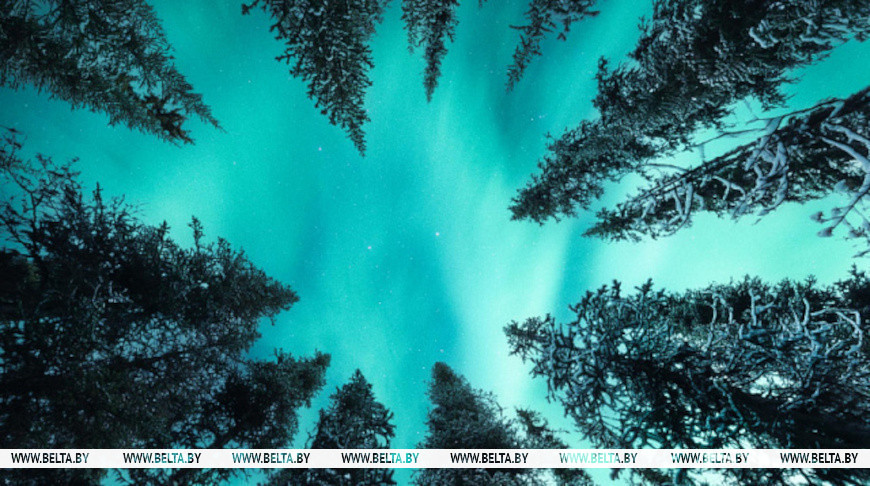 Photo: Mumemories / iStock