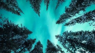 Photo: Mumemories / iStock