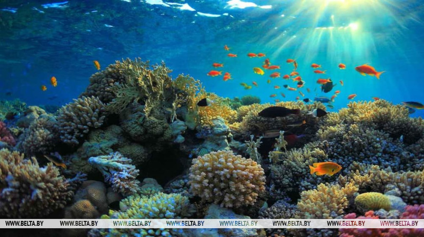 Photo: HiDubai Focus / iStock