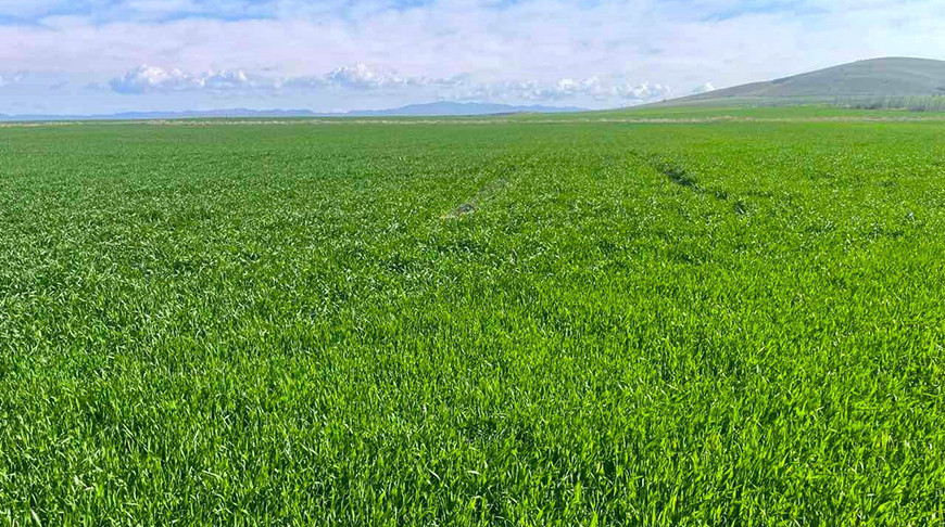 Photo of Belarus' Agriculture and Food Ministry