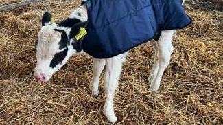 Photo courtesy of Grodnoenergo Company