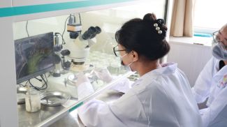 Photo: Global Times / iStock