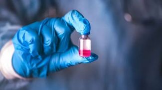 Photo: Zakharova Elena / iStock