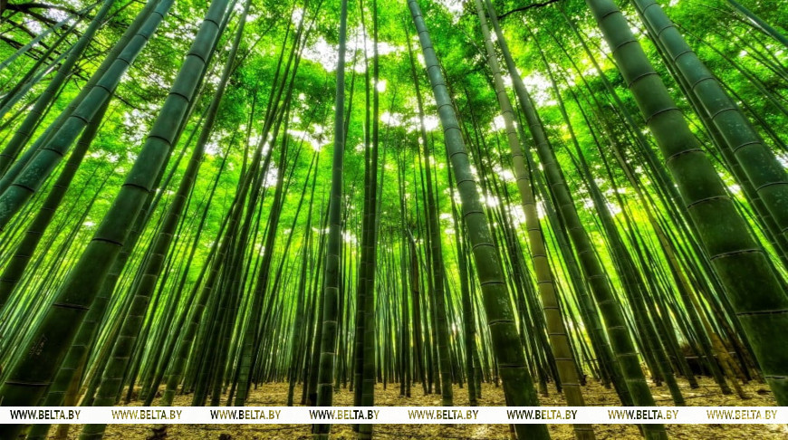 Photo: South China Morning Post