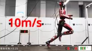 Photo: Orient.tm / iStock