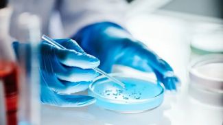 Photo: SeventyFour / iStock