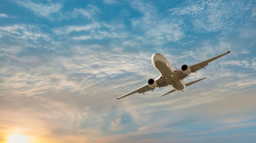 Photo: murat4art / iStock