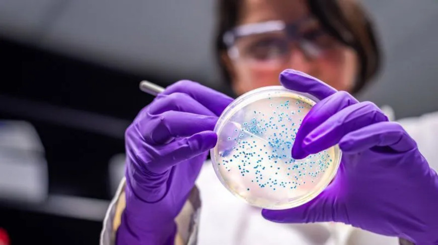 Photo: Manjurul / iStock