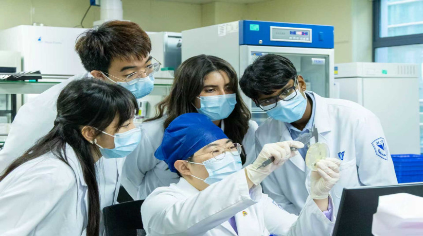 Photo: ZJUISM / iStock