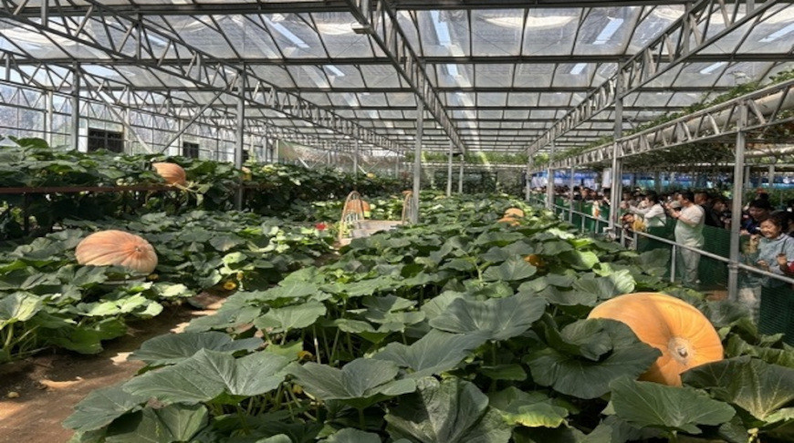 Photo: Jinan Times / iiStock