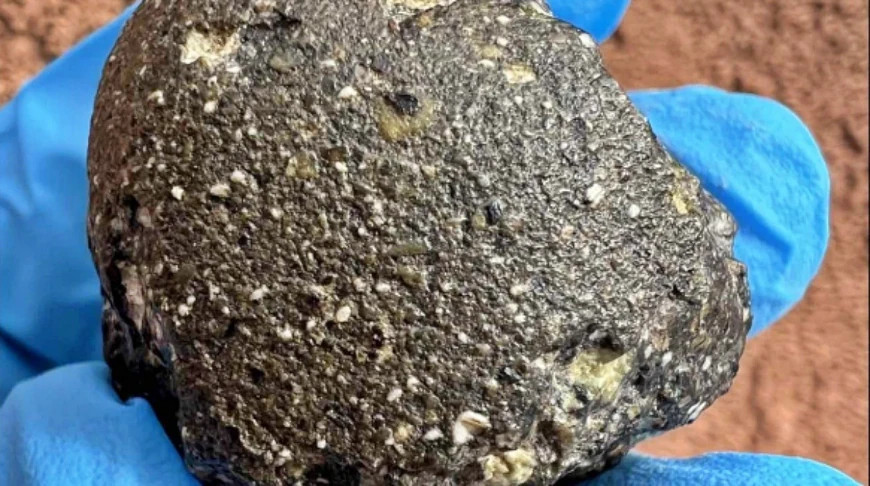 Photo: CMSA / iStock