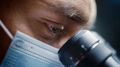 Photo: gorodenkoff / iStock