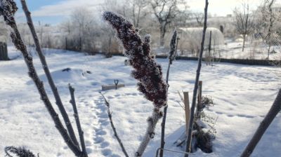 Winter day in Minsk Oblast