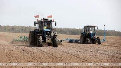 Spring field works in Grodno District  