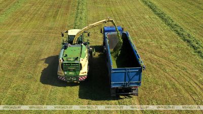 Fodder harvest time in Belarus