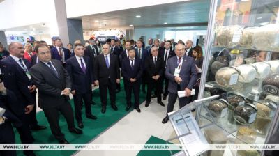 Eurasian Intergovernmental Council members visit Belagro 2024