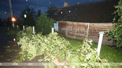 Storm wreaks havoc in Grodno Oblast