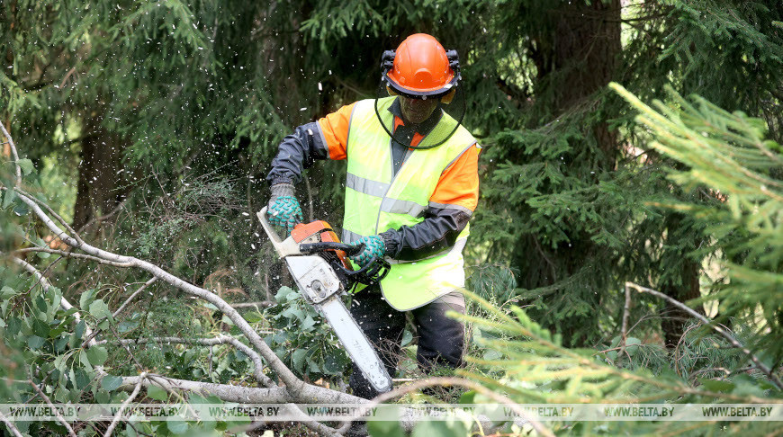 Storm recovery efforts in full swing in Belarus