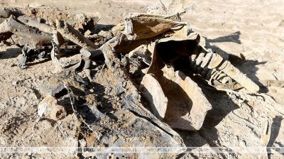 Remains of vehicle from WWII unearthed near Zelva