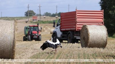 Harvest season 