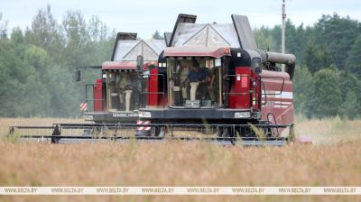 Grain harvest progresses well across Belarus 