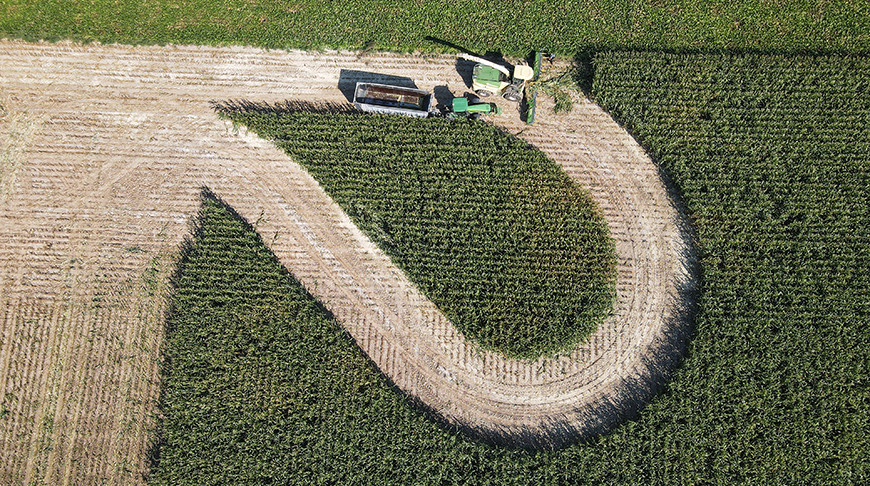 Maize silage harvesting