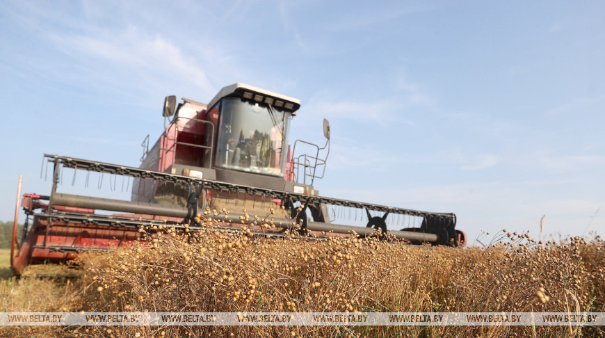 Flax harvest nearing completion in Belarus 