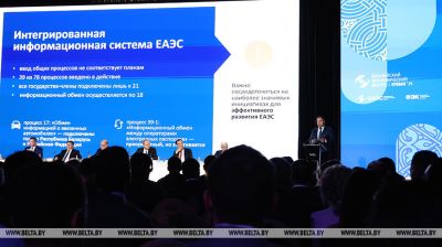 Eurasian Economic Forum in session