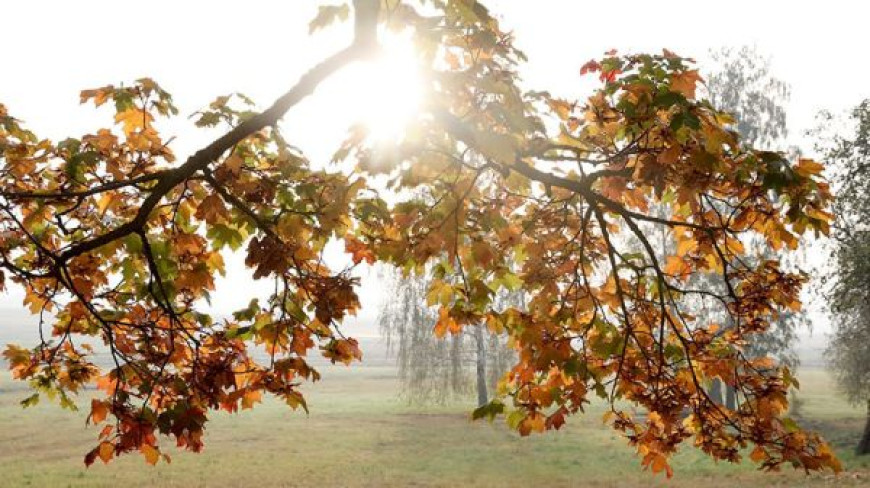 Autumn landscape