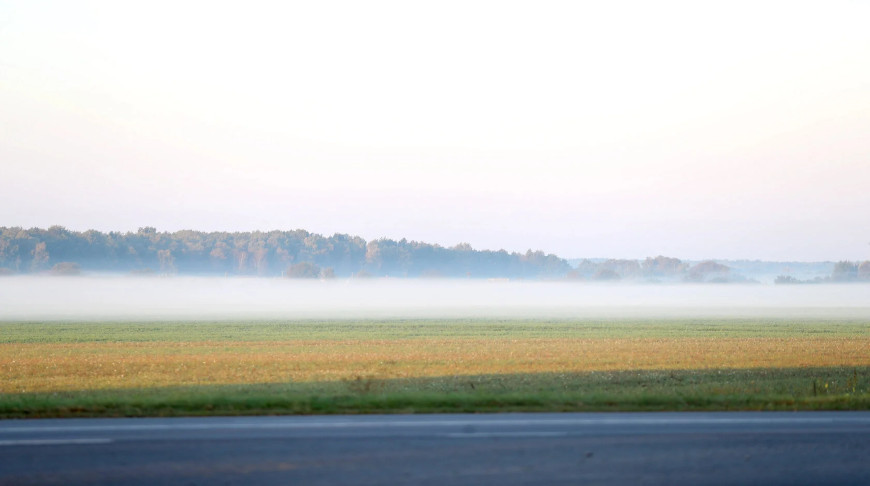 Foggy morning  