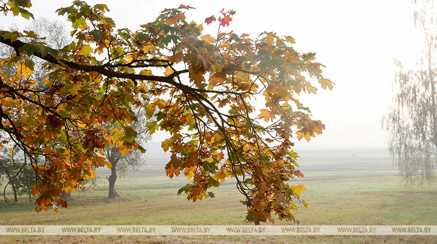 Early morning landscape 