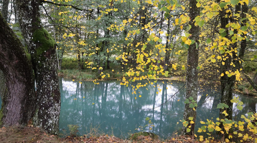 Autumn scenery in
Belarus 