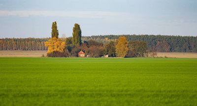 Autumn landscapes in Belarus 