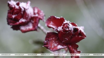 First snow of the season in Grodno