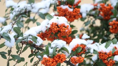 First snow of the season in Brest