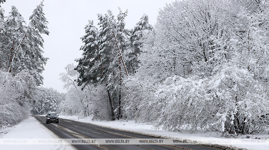 Gomel Oblast blanketed by snow
  
 